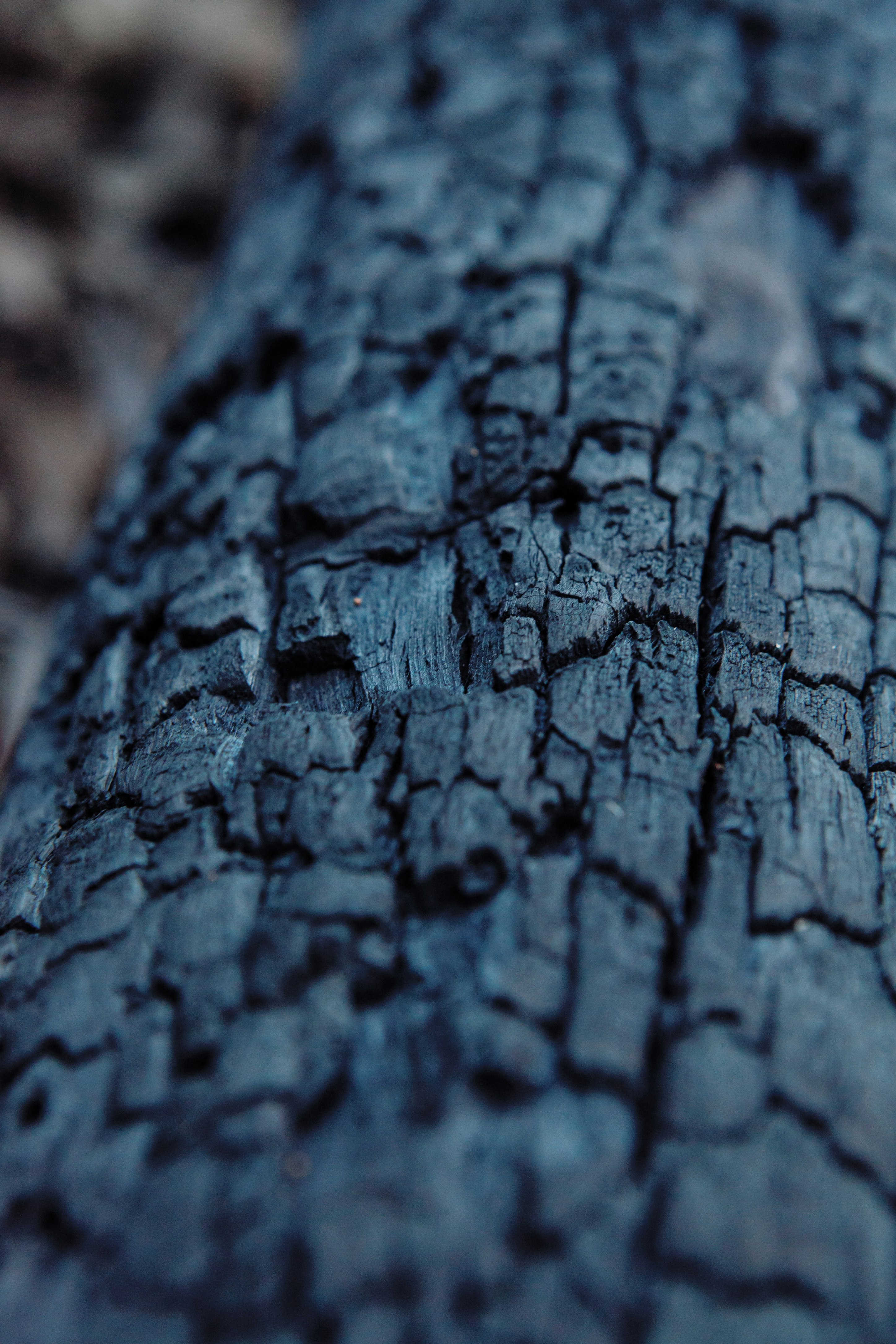 black wood slab